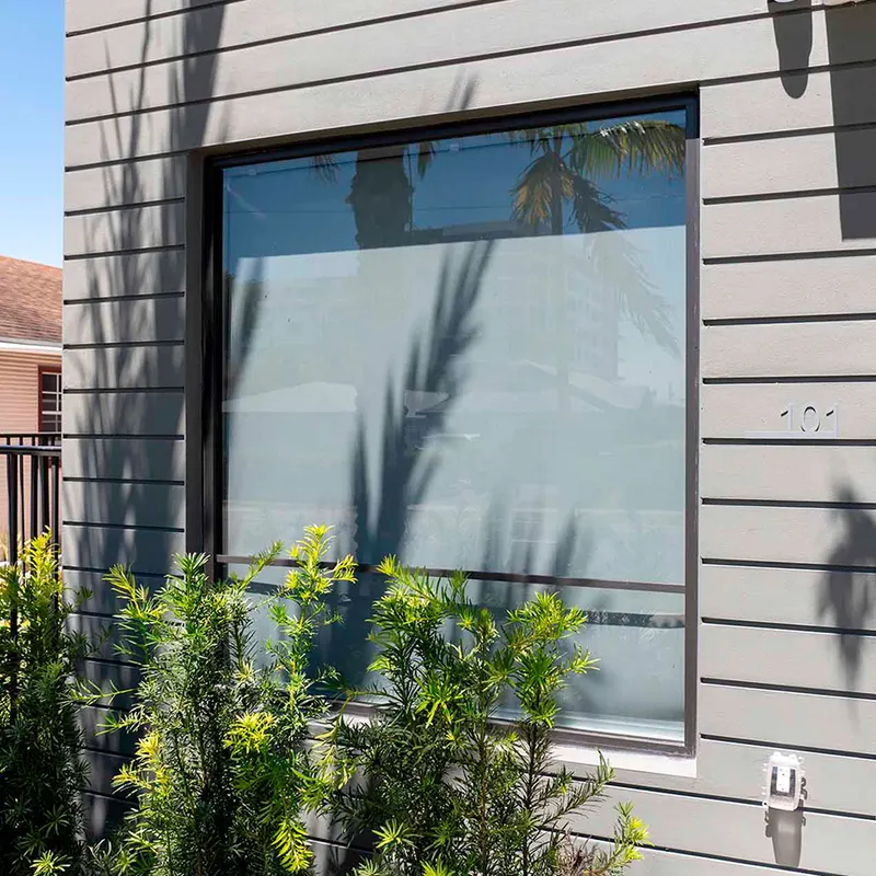Large dark-framed fixed window in a gray-sided exterior wall behind plants